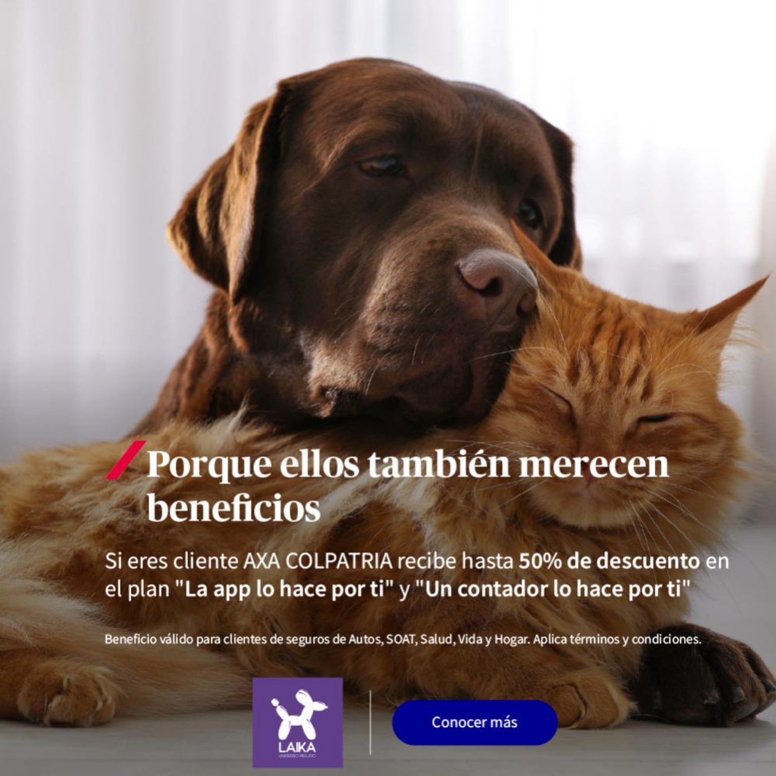 Beneficio para mascotas
